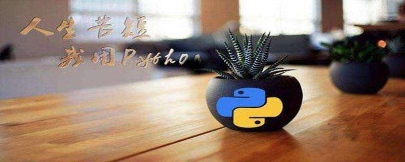 后端php和python学哪个