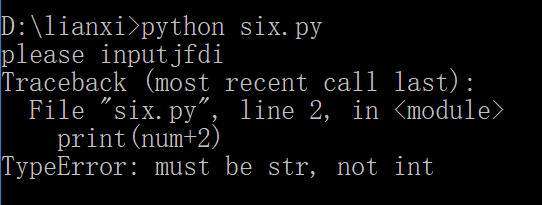 python input输入数据类型错误