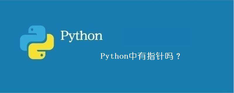 Python中有指针吗？