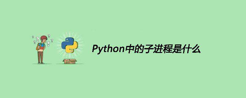 Python中的子进程是什么