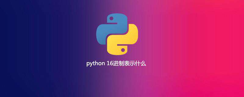 python 16进制表示什么