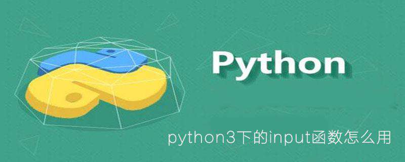 python3下的input函数怎么用