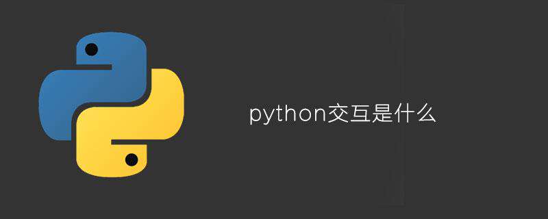 python交互是什么