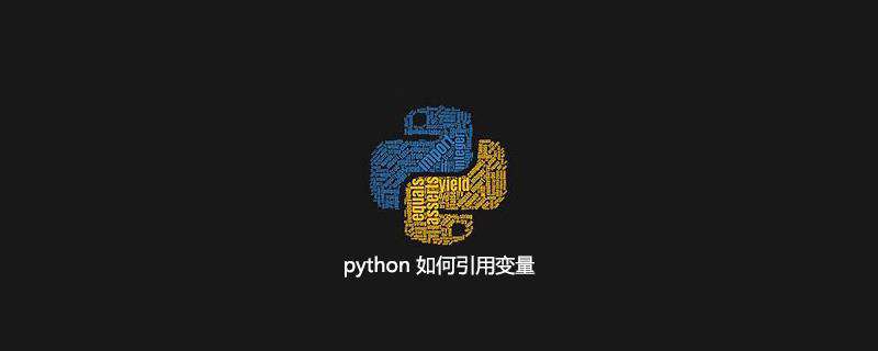 python 如何引用变量