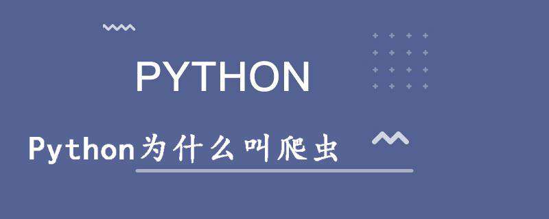 Python为什么叫爬虫