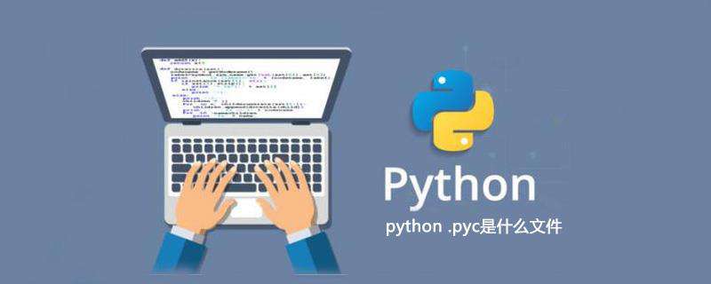 python .pyc是什么文件