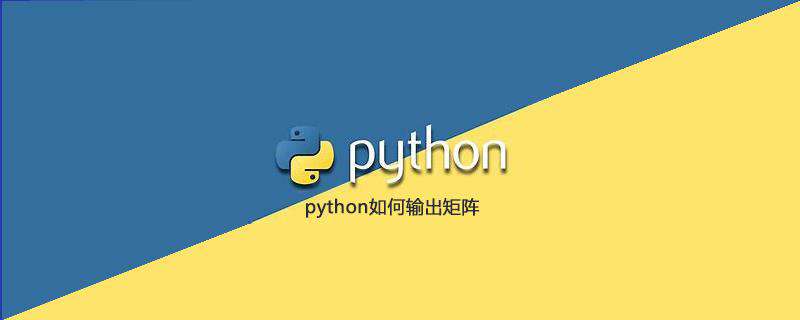 python如何输出矩阵