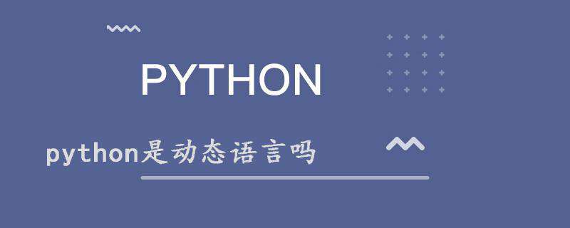 python是动态语言吗