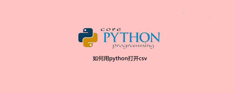 如何用python打开csv