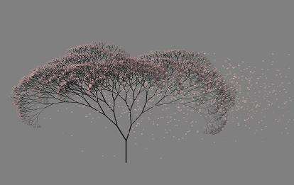 用Python能画哪些树？
