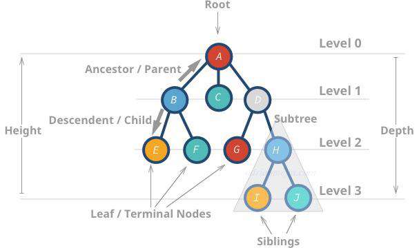 初学者应该了解的数据结构： Tree
