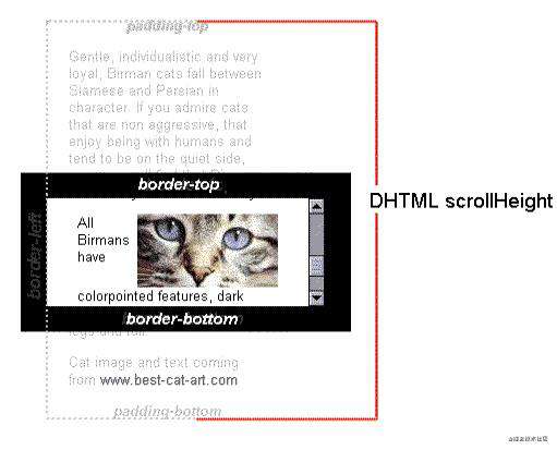 HTML5相关规范解读（二）：dom标准